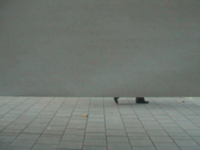 DSC01659